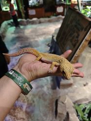 -酷嗒动物文化乐园(cutezoo西溪乐天城店)