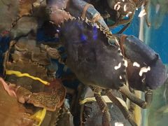 -青石桥市场北1-27号