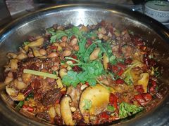 -食神又名厕所兔
