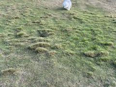 -飞天山旅游区
