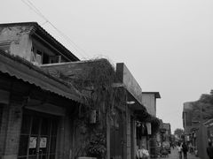 -星巴克臻选(北京前门大街店)