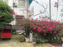 -重庆九凤瑶池海明山庄