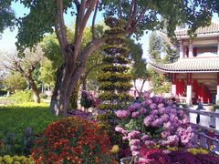 -集美鳌园景区