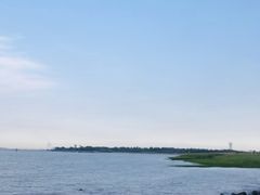 -吴淞炮台湾湿地森林公园烧烤区