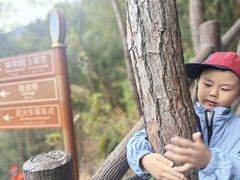 -九鲤湖风景区