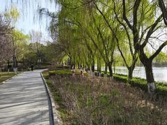 -西安汉城湖景区