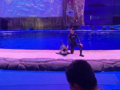 -华夏文旅海洋公园