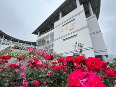 -浙江农林大学(东湖校区)