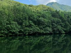 -洛阳白云山景区