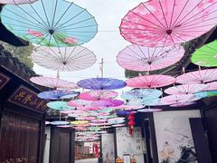 -天目湖山水园