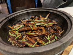 -苏浙总会(国金中心店)