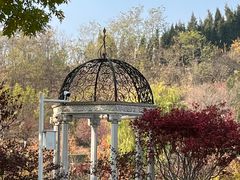 -静之湖度假区