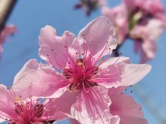 -九里河湿地公园