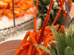 -TABLE·味西餐厅-成都茂业JW万豪酒店