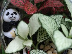 -青石桥花鸟鱼虫市场(叠翠城店)