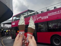 -富豪雪糕车流动点(尖沙咀)