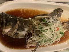 -雅味轩中餐厅 川菜 粤菜(重庆喜来登大酒店)