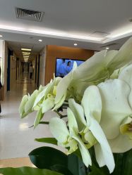 -杭州贝瑞斯美华妇儿医院·早孕·产检·儿科