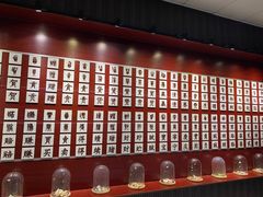 -青岛贝壳博物馆