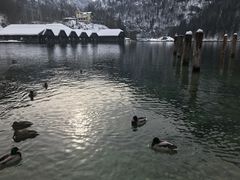 -柯尼希湖