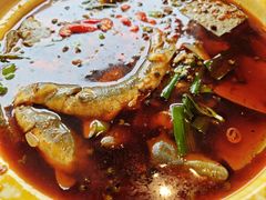 -樽宴酒楼·地道川菜·品质宴请
