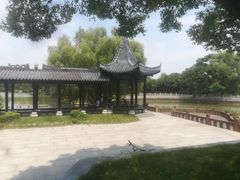 -八大山人梅湖景区