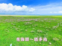 -青海湖国家重点风景名胜区