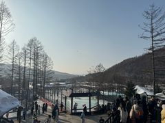 -横道河子东北虎林园