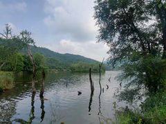 -玉渡山自然风景区