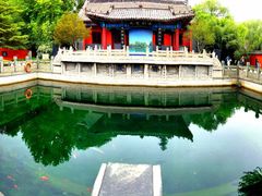 -百脉泉景区