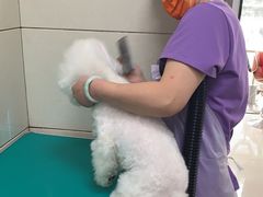 -北京观赏动物医院·24小时大型综合·猫专科·异宠专科