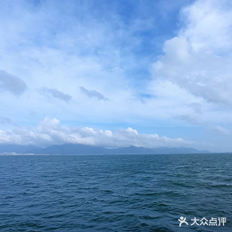 大灣區二號⛴️🚢🛥️