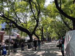 -北京国子监胡同