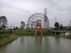 -王借岗森林公园