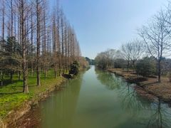 -南湖湿地公园