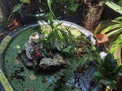 -叉叉纳里客栈(珠海情侣路唐家湾沙滩店)