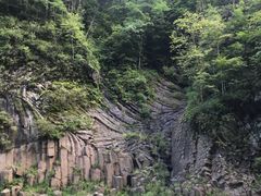 -望天鹅景区