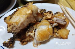 Salt and Pepper Bighead Carp