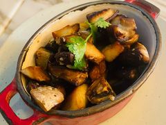 新鲜炒蘑菇-the rug 飞毯 (朝阳公园店)