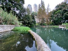 -成都市活水公园