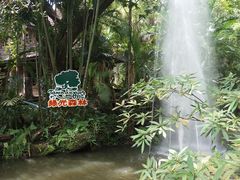 -绿光森林餐厅