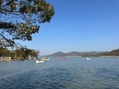 -东钱湖小普陀景区