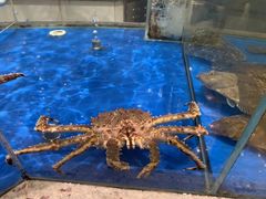 -江杨农产品批发市场