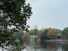 -荔湾湖公园