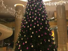 -芽庄喜来登水疗酒店