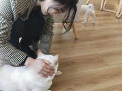 -柴犬小屋·柴餐厅·狗咖食堂(金鼎广场店)