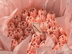 -沁园(南坪上海城店)