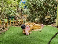 -呀路古热带植物园