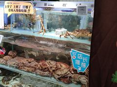 -超级物种·波龙工坊(国贸店)