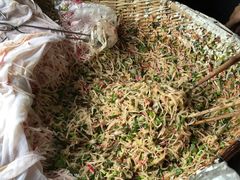 萝卜丝-半月镰胡姐脆皮萝卜饺子